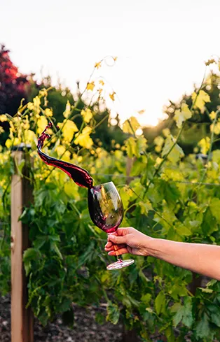 Learn why Bordeaux vineyards follow the rivers, how waterways shape soils, climate, and wine styles across the Bordeaux wine region.